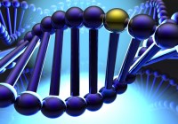 Gene111 Gene111